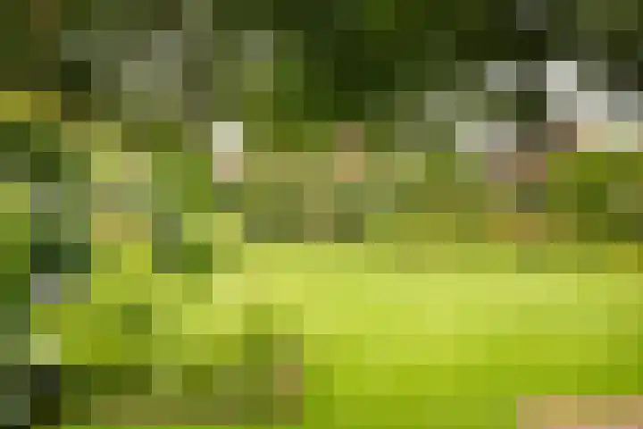 Adriaen de Vrieslaan 9 Deventer thumbnail 56