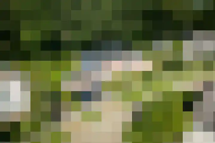 Adriaen de Vrieslaan 9 Deventer thumbnail 58