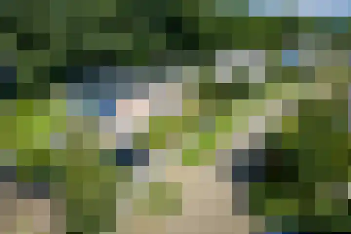 Adriaen de Vrieslaan 9 Deventer thumbnail 59