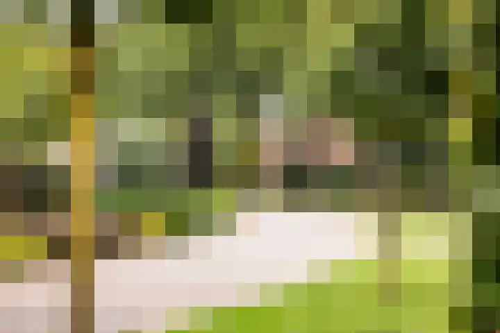Adriaen de Vrieslaan 9 Deventer thumbnail 61