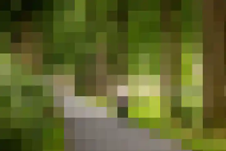 Adriaen de Vrieslaan 9 Deventer thumbnail 62