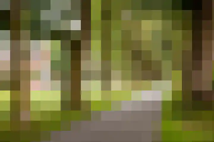 Adriaen de Vrieslaan 9 Deventer thumbnail 63