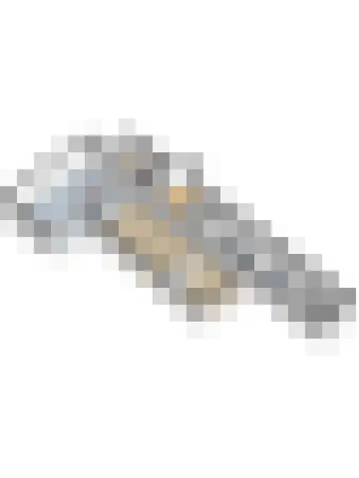 Adriaen de Vrieslaan 9 Deventer thumbnail 67