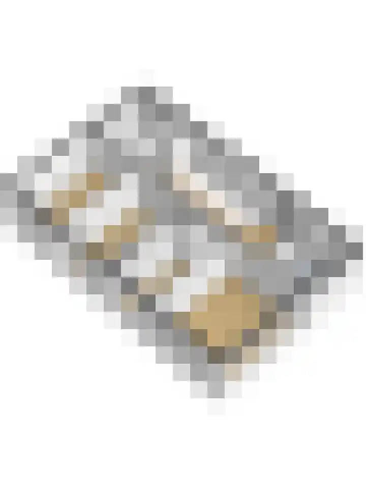 Adriaen de Vrieslaan 9 Deventer thumbnail 68