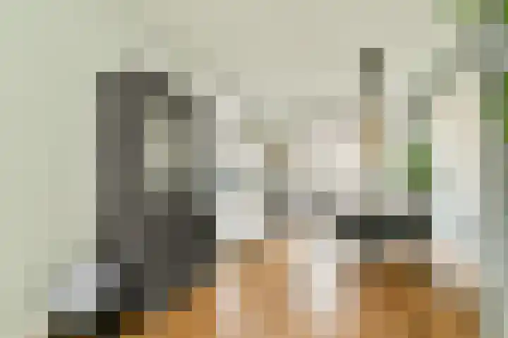 Adriaen Gerridsz de Vrijestraat 2 Gouda thumbnail 10