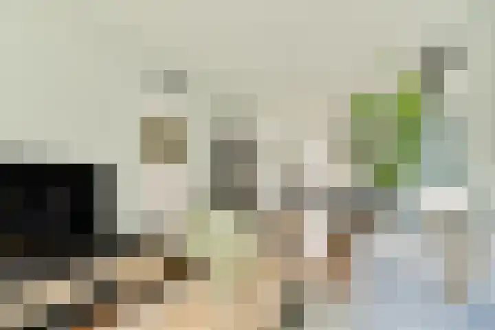 Adriaen Gerridsz de Vrijestraat 2 Gouda thumbnail 17