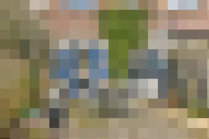 Adriaen Gerridsz de Vrijestraat 2 Gouda thumbnail 36
