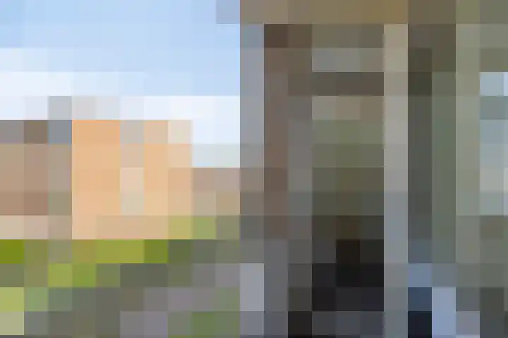 Adriaen Lauwereyszstraat 107 Middelburg thumbnail 8