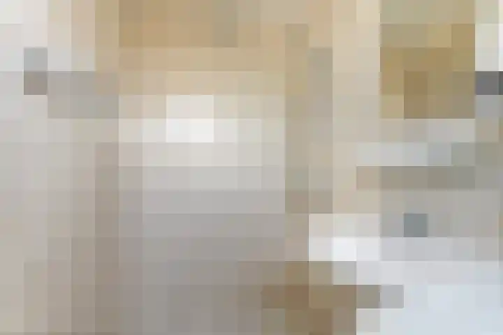 Adriaen Lauwereyszstraat 91 Middelburg thumbnail 8