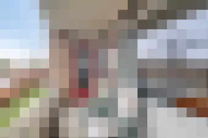Adriaen Lauwereyszstraat 97 Middelburg thumbnail 14