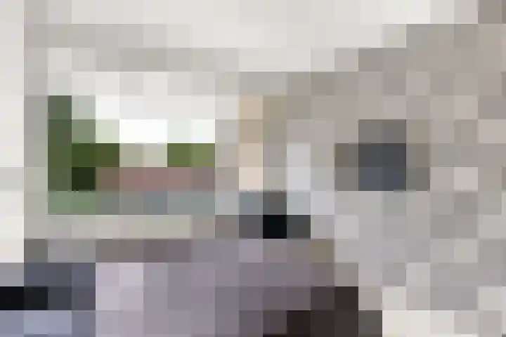 Adriaen Lauwereyszstraat 99 Middelburg thumbnail 21