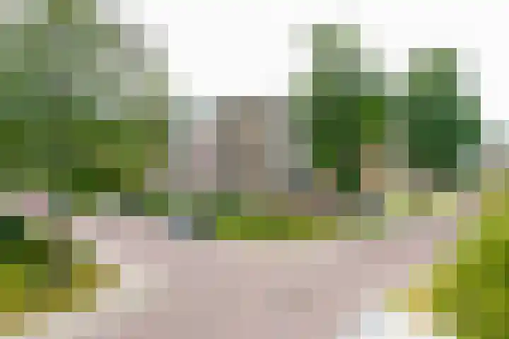 Adriaen Lauwereyszstraat 99 Middelburg thumbnail 4