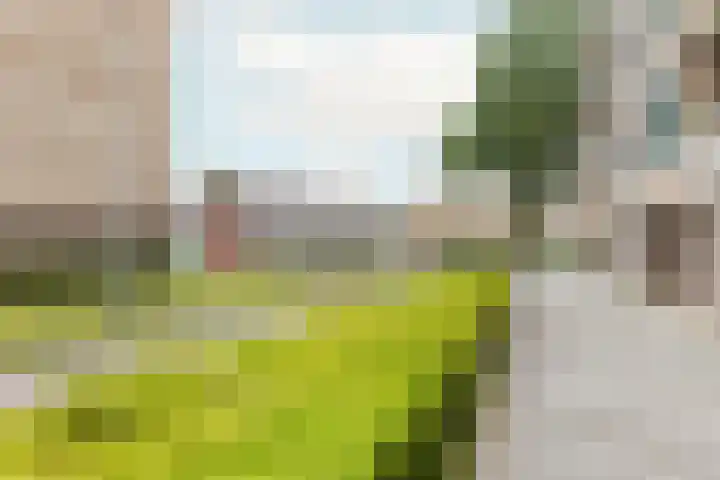 Adriaen Lauwereyszstraat 99 Middelburg thumbnail 6