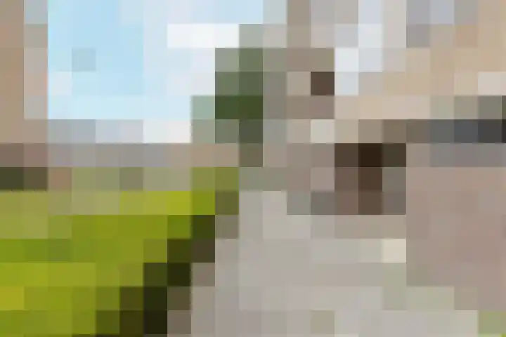 Adriaen Lauwereyszstraat 99 Middelburg thumbnail 7
