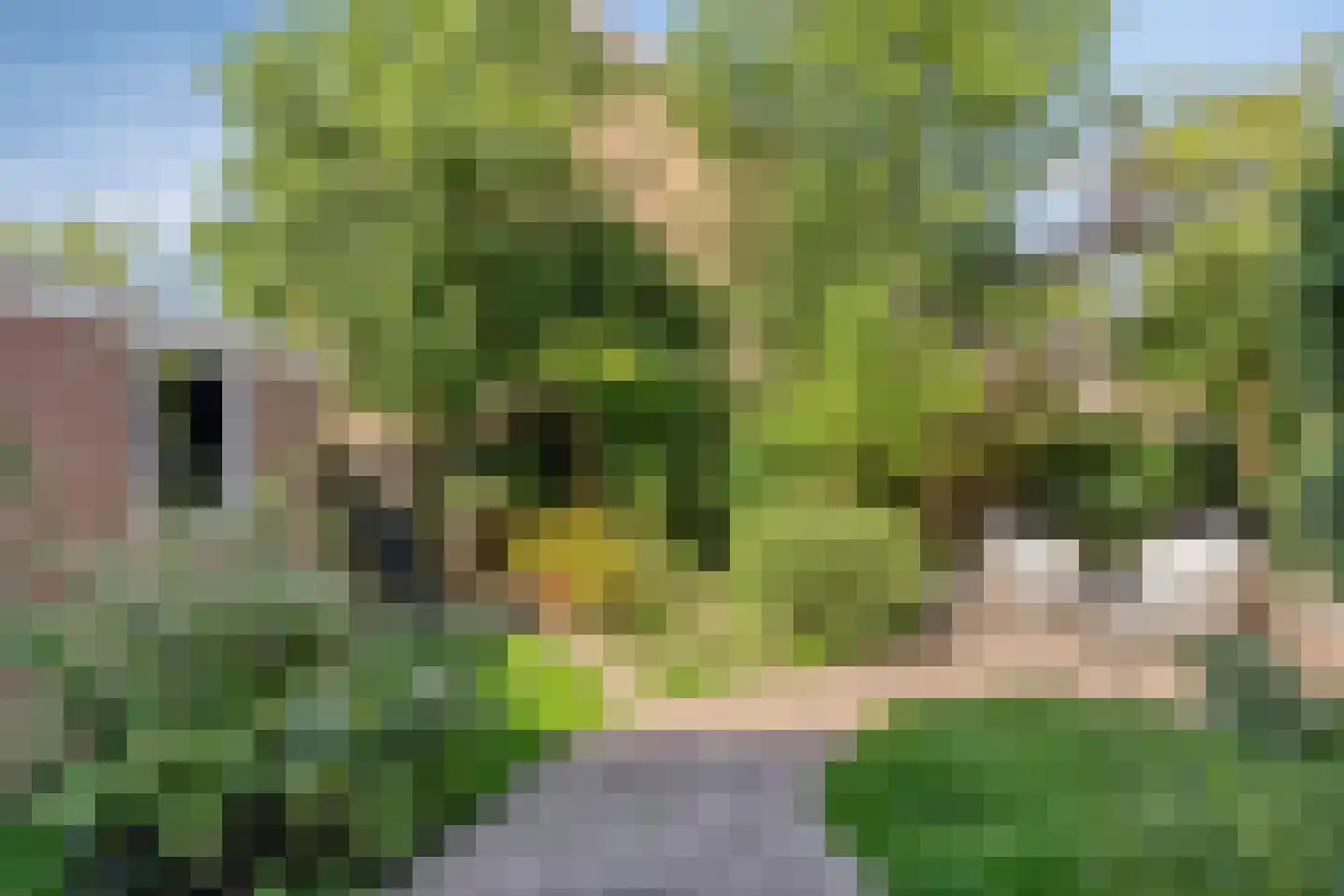 Adriaen Obrysstraat 14 Middelburg thumbnail 30