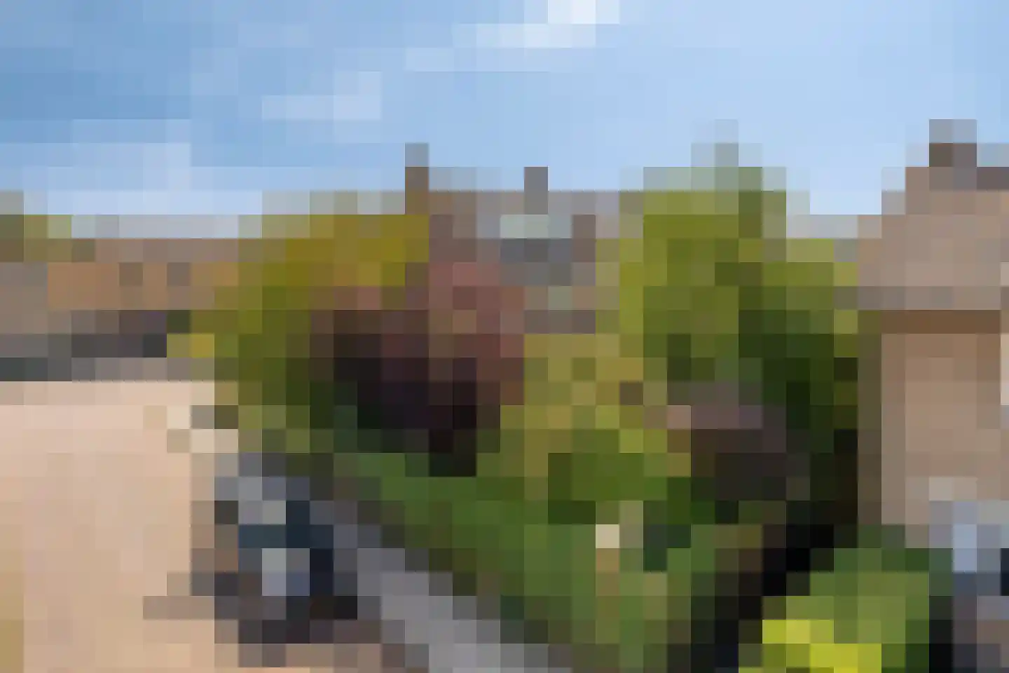 Adriaen Obrysstraat 14 Middelburg thumbnail 33