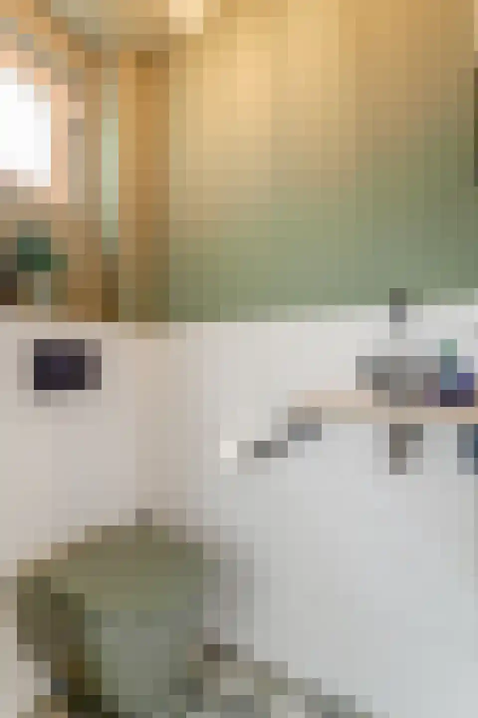 Adriaen Slickerstraat 19 Hoogwoud thumbnail 20