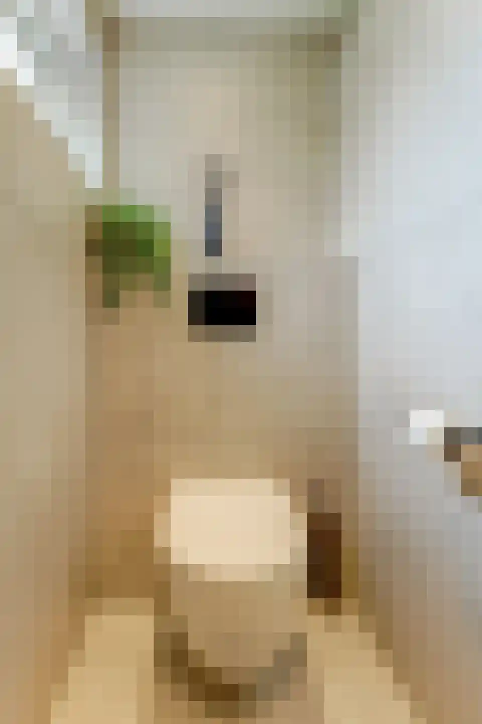 Adriaen Slickerstraat 19 Hoogwoud thumbnail 32