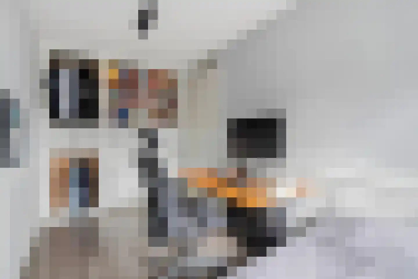 Adriaen van de Vennestraat 2 Middelburg thumbnail 17