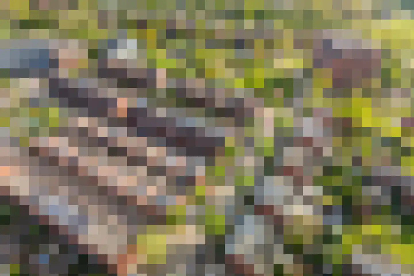 Adriaen van de Vennestraat 2 Middelburg thumbnail 34