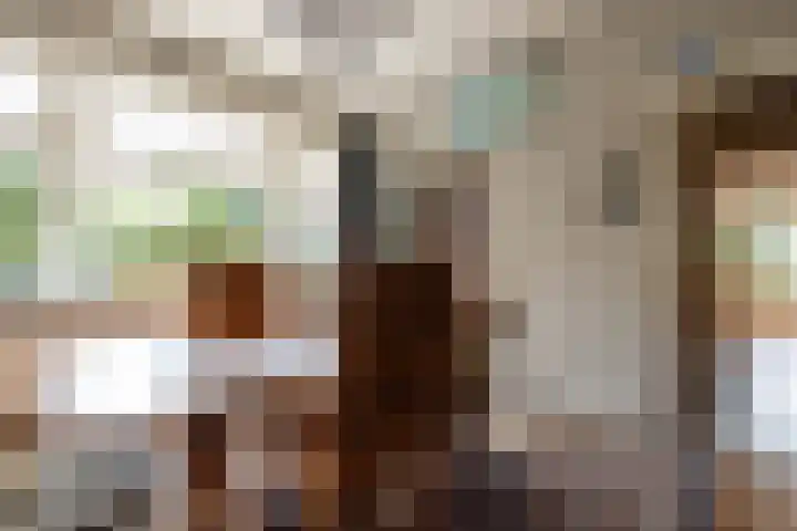 Adriaen van der Doeslaan 10 Rotterdam thumbnail 15
