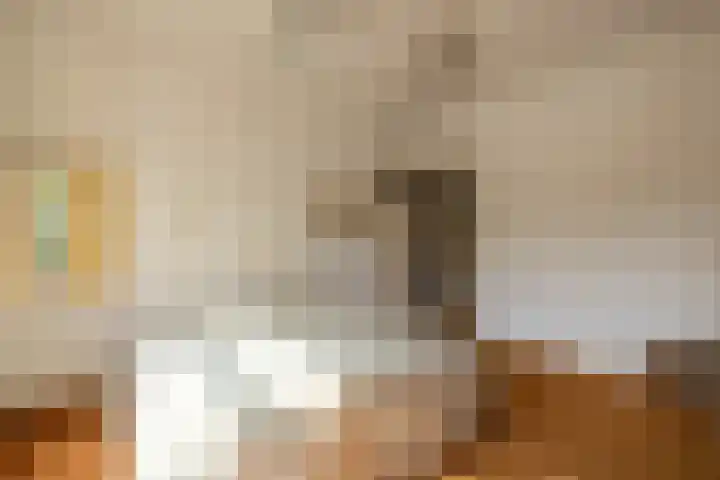 Adriaen van der Doeslaan 10 Rotterdam thumbnail 21