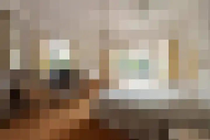 Adriaen van der Doeslaan 10 Rotterdam thumbnail 22