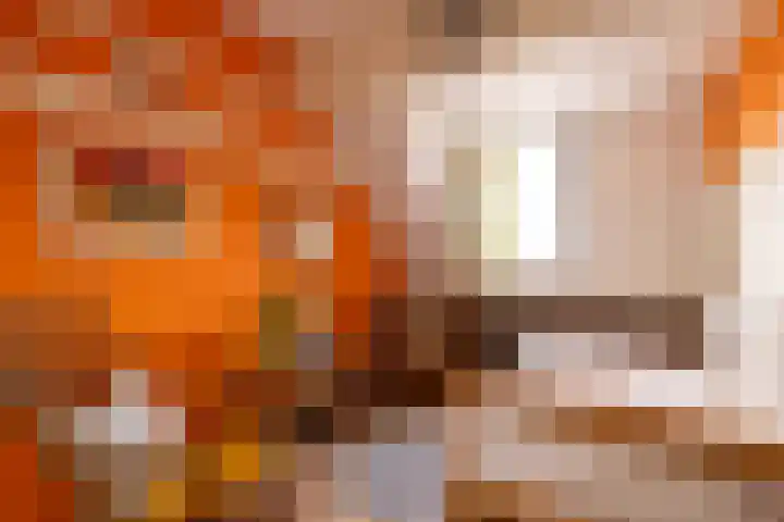 Adriaen van der Doeslaan 10 Rotterdam thumbnail 25