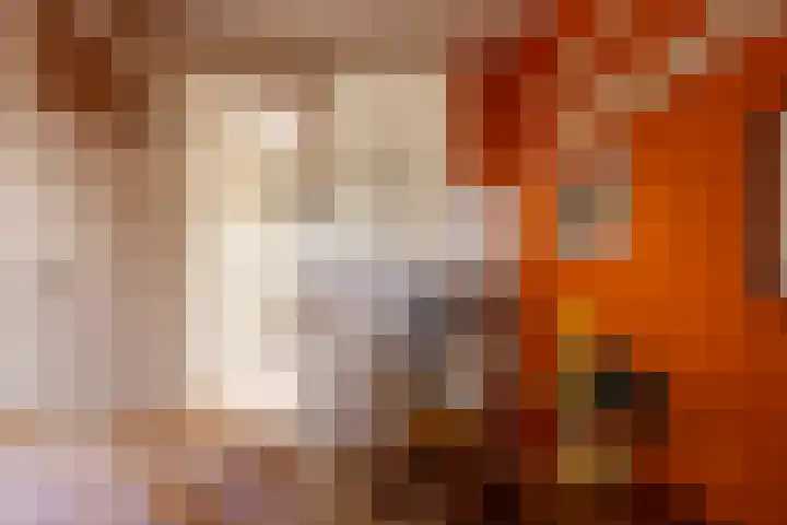 Adriaen van der Doeslaan 10 Rotterdam thumbnail 26