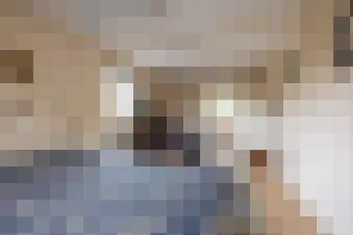Adriaen van der Doeslaan 10 Rotterdam thumbnail 28