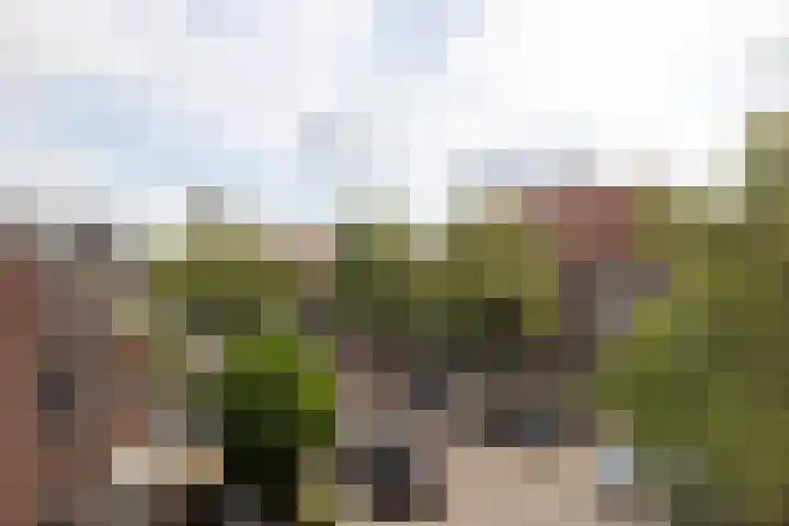 Adriaen van der Doeslaan 10 Rotterdam thumbnail 30