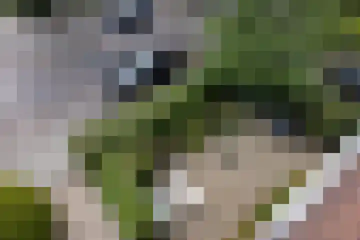 Adriaen van der Doeslaan 10 Rotterdam thumbnail 31