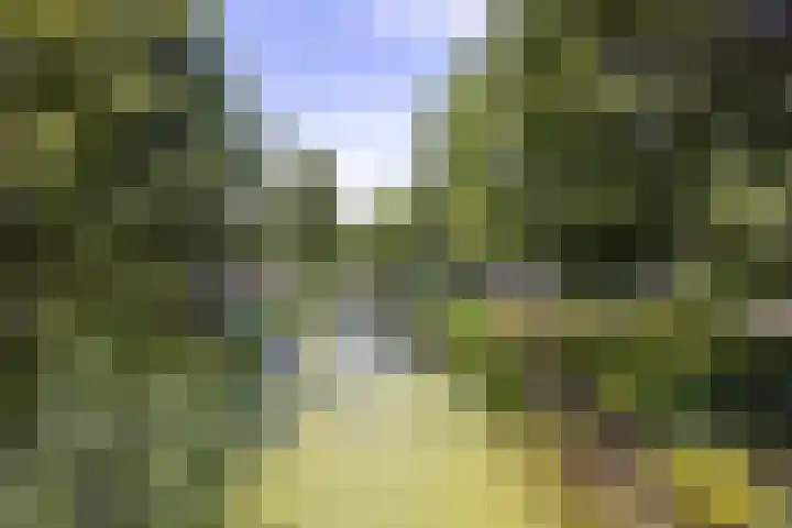 Adriaen van der Doeslaan 10 Rotterdam thumbnail 5