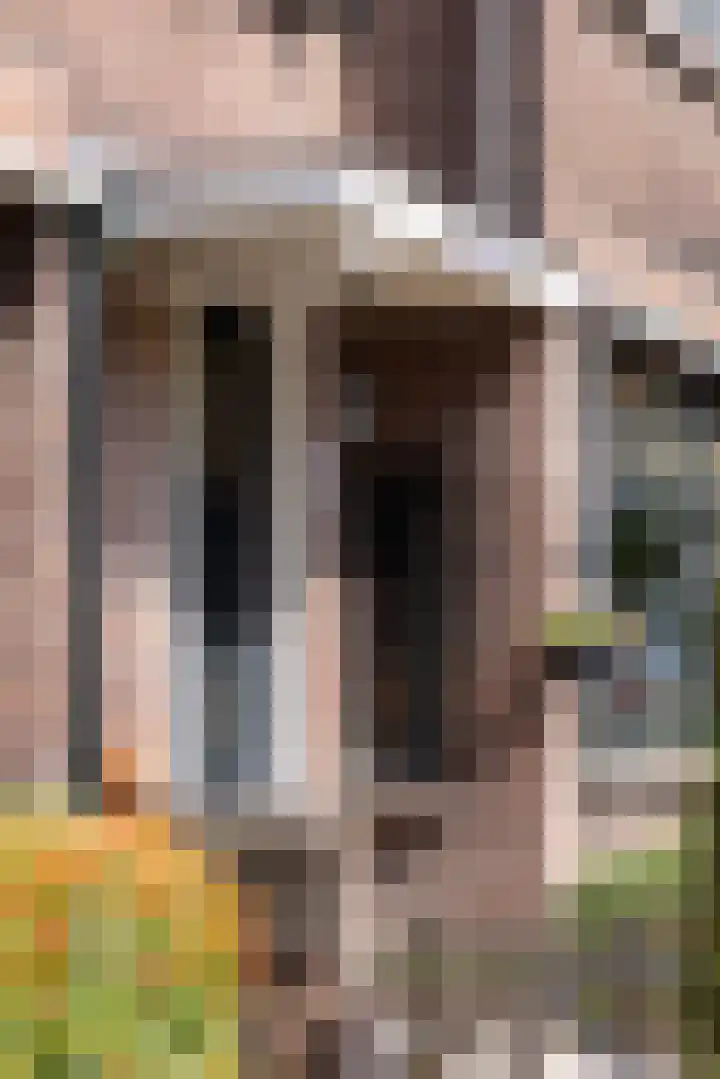 Adriaen van der Doeslaan 10 Rotterdam thumbnail 6