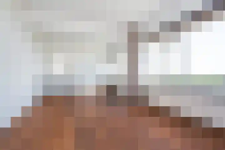 Adriaen van der Doeslaan 201 Rotterdam thumbnail 4