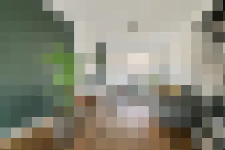 Adriaen van der Doeslaan 25 A Rotterdam thumbnail 10