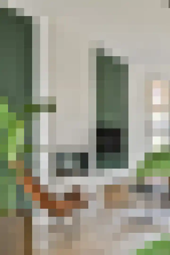 Adriaen van der Doeslaan 25 A Rotterdam thumbnail 11