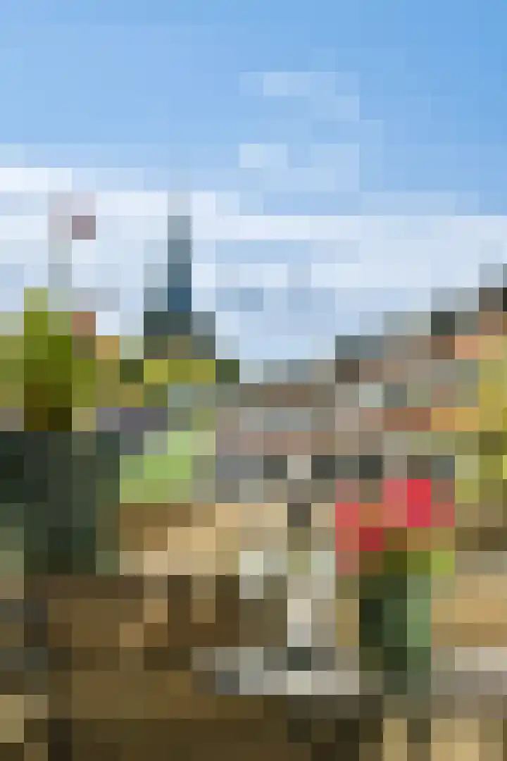 Adriaen van der Doeslaan 25 A Rotterdam thumbnail 14