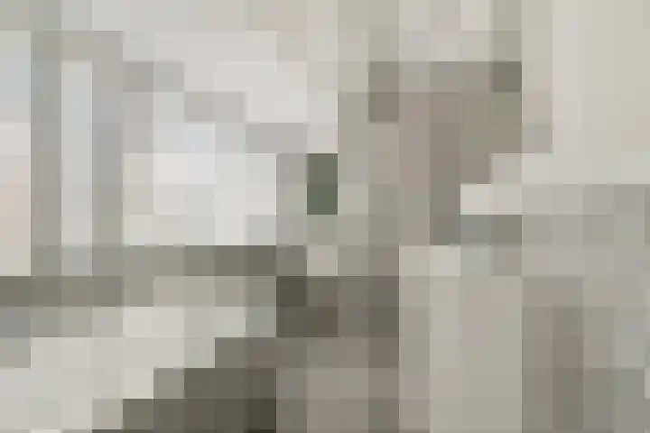 Adriaen van der Doeslaan 25 A Rotterdam thumbnail 23