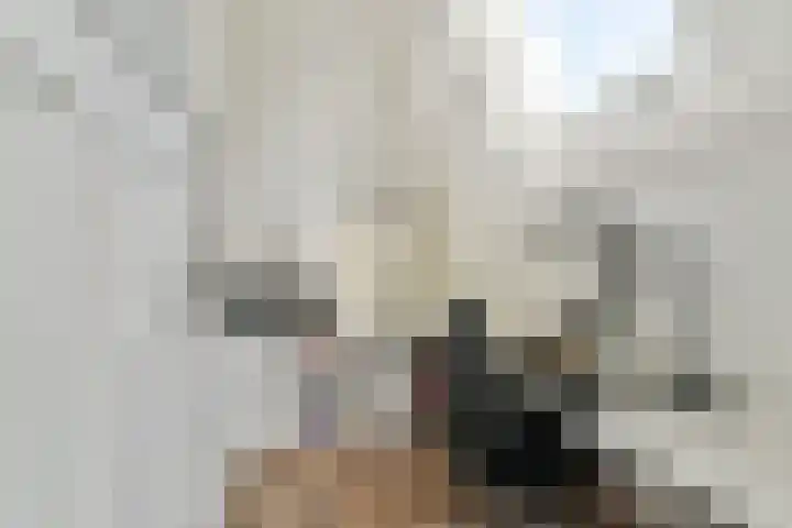 Adriaen van der Doeslaan 25 A Rotterdam thumbnail 27