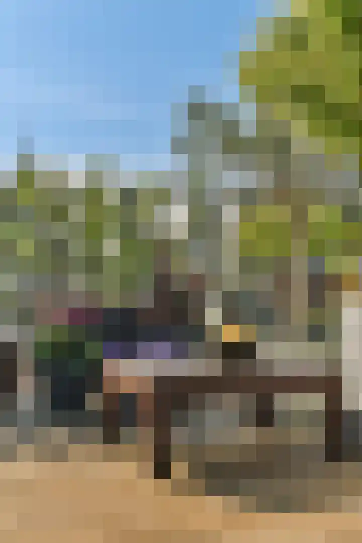 Adriaen van der Doeslaan 25 A Rotterdam thumbnail 32