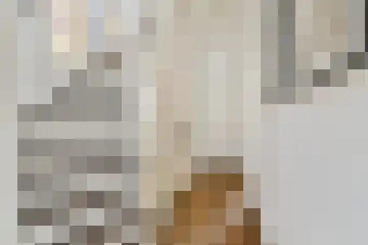 Adriaen van der Doeslaan 25 A Rotterdam thumbnail 6