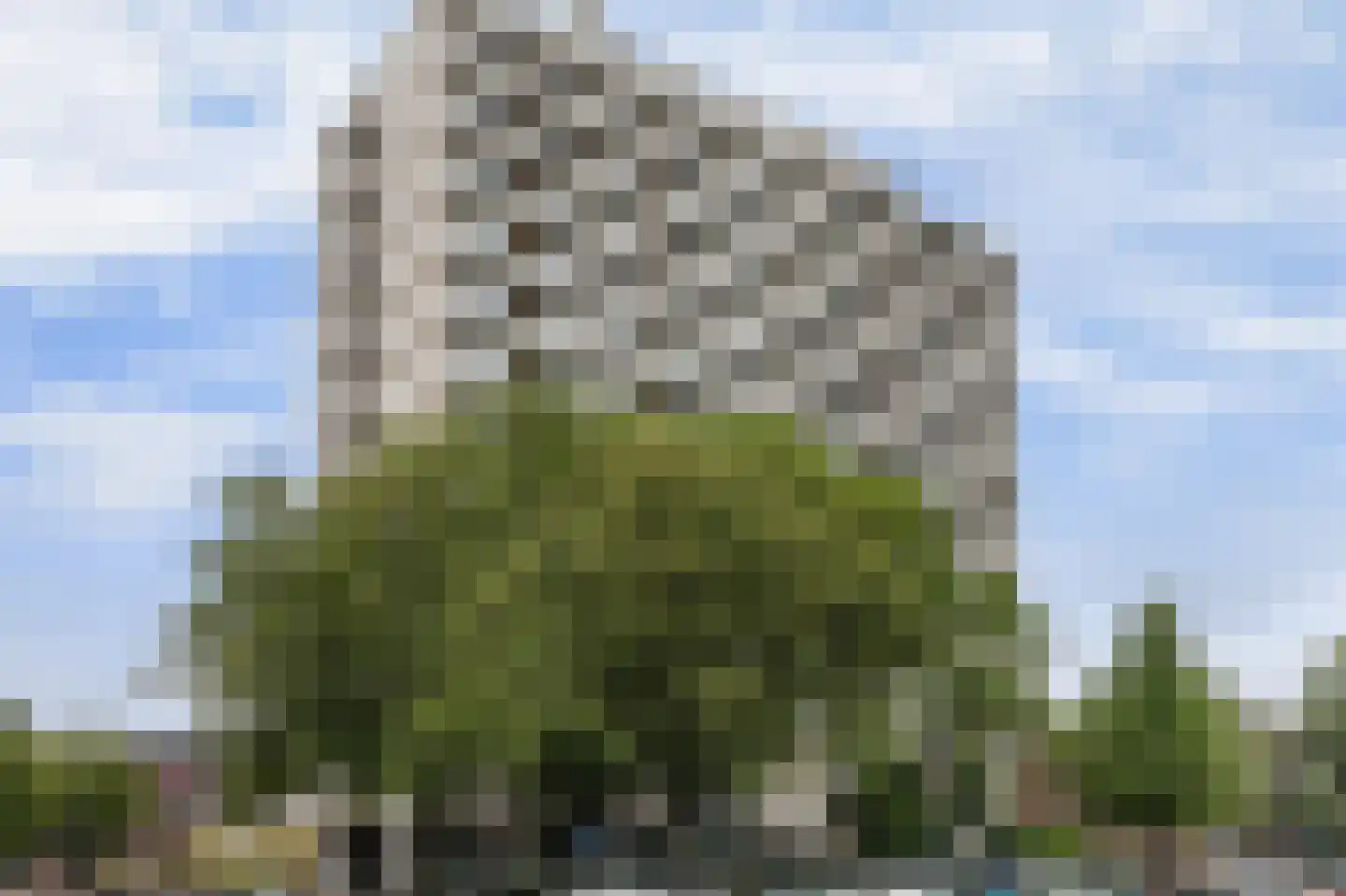 Adriaen van der Doeslaan 263 in Rotterdam