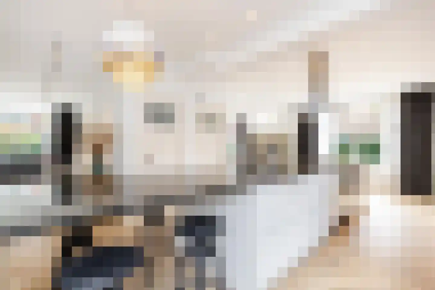 Adriaen van der Doeslaan 44 B Rotterdam thumbnail 13