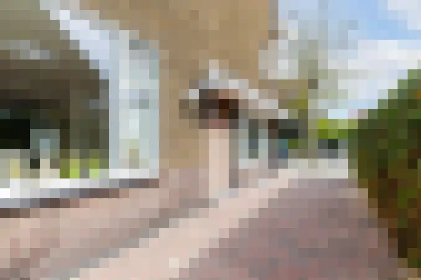 Adriaen van der Doeslaan 44 B Rotterdam thumbnail 38