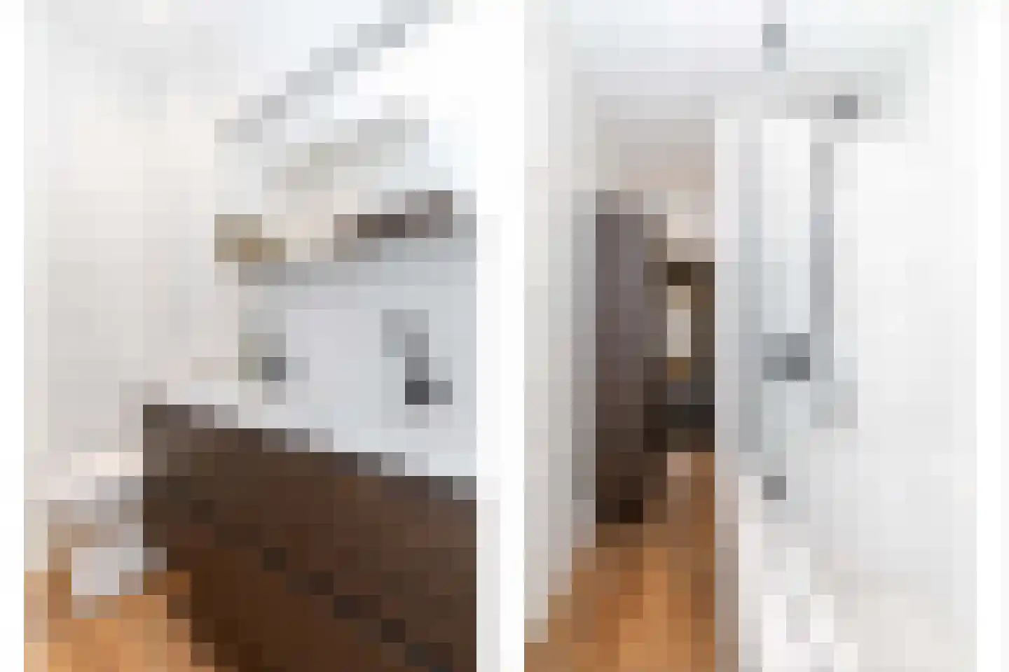 Adriaen van der Doeslaan 44 B Rotterdam thumbnail 44