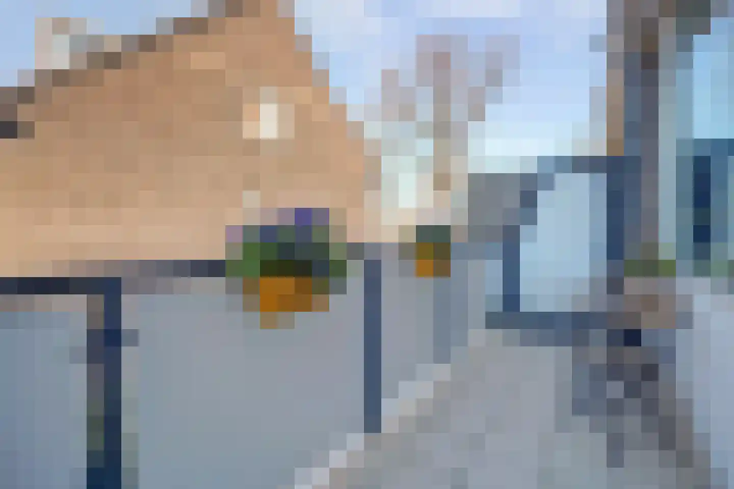 Adriaen van der Doeslaan 56 A Rotterdam thumbnail 13