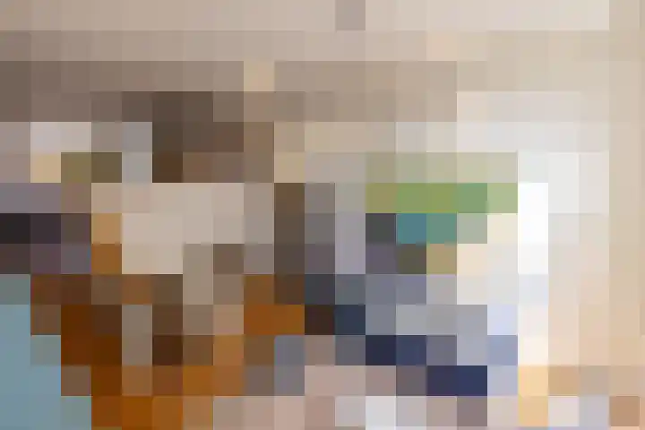 Adriaen van der Doeslaan 9 Rotterdam thumbnail 11