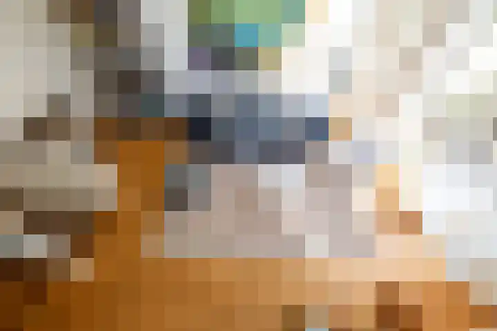 Adriaen van der Doeslaan 9 Rotterdam thumbnail 12