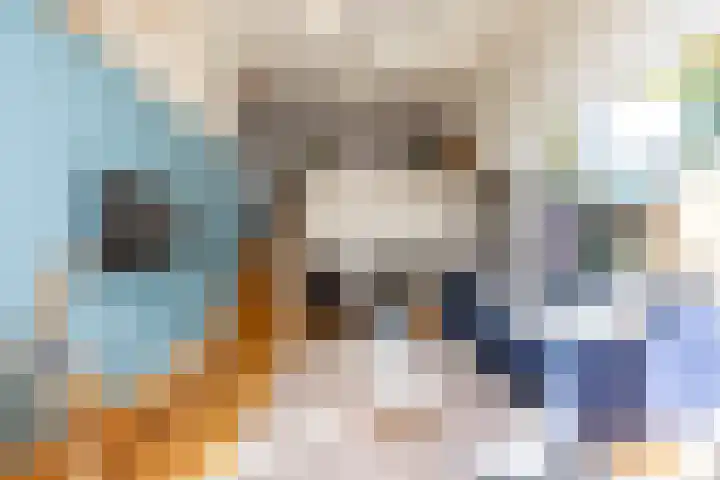 Adriaen van der Doeslaan 9 Rotterdam thumbnail 13